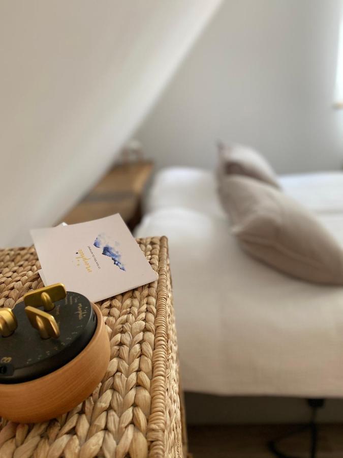 Le Clos Bleu - Gite Rural Schillersdorf ภายนอก รูปภาพ