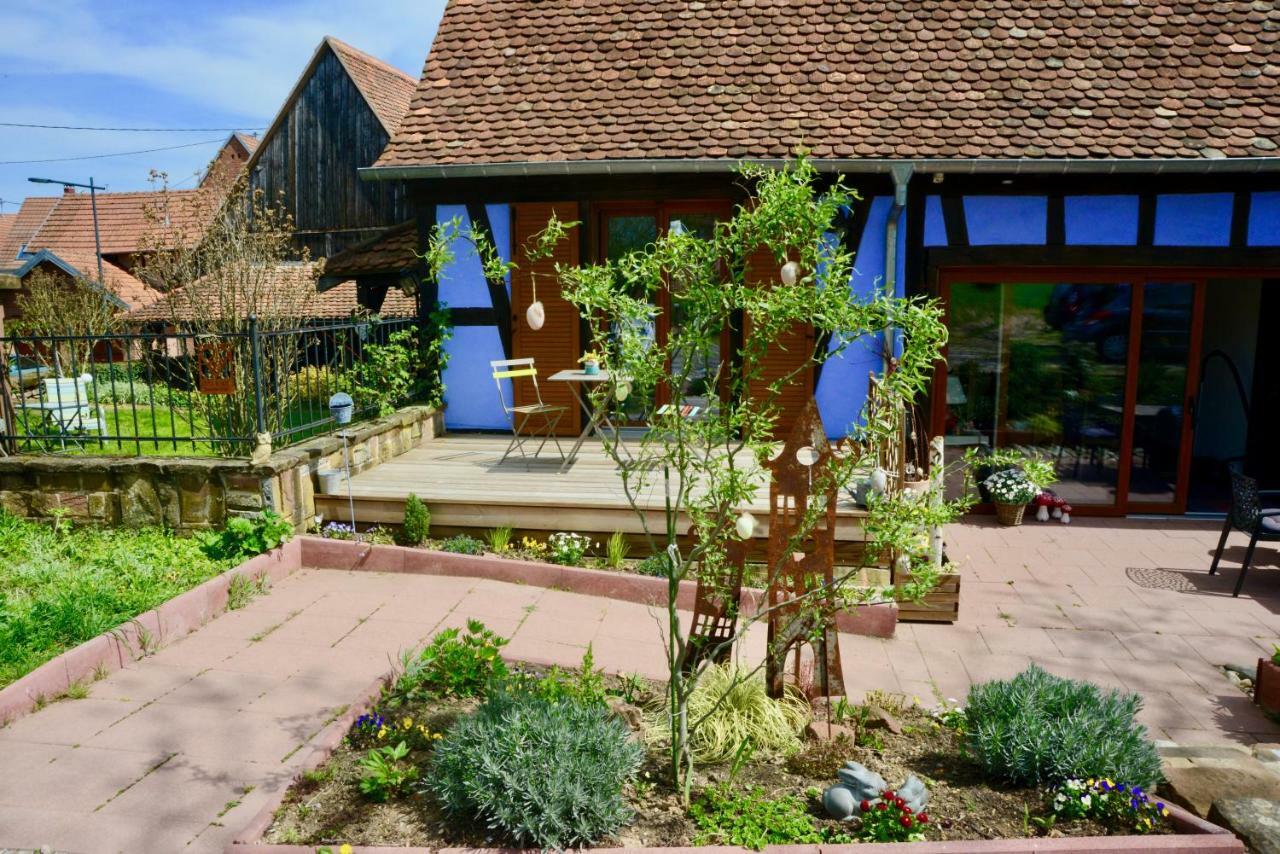 Le Clos Bleu - Gite Rural Schillersdorf ภายนอก รูปภาพ