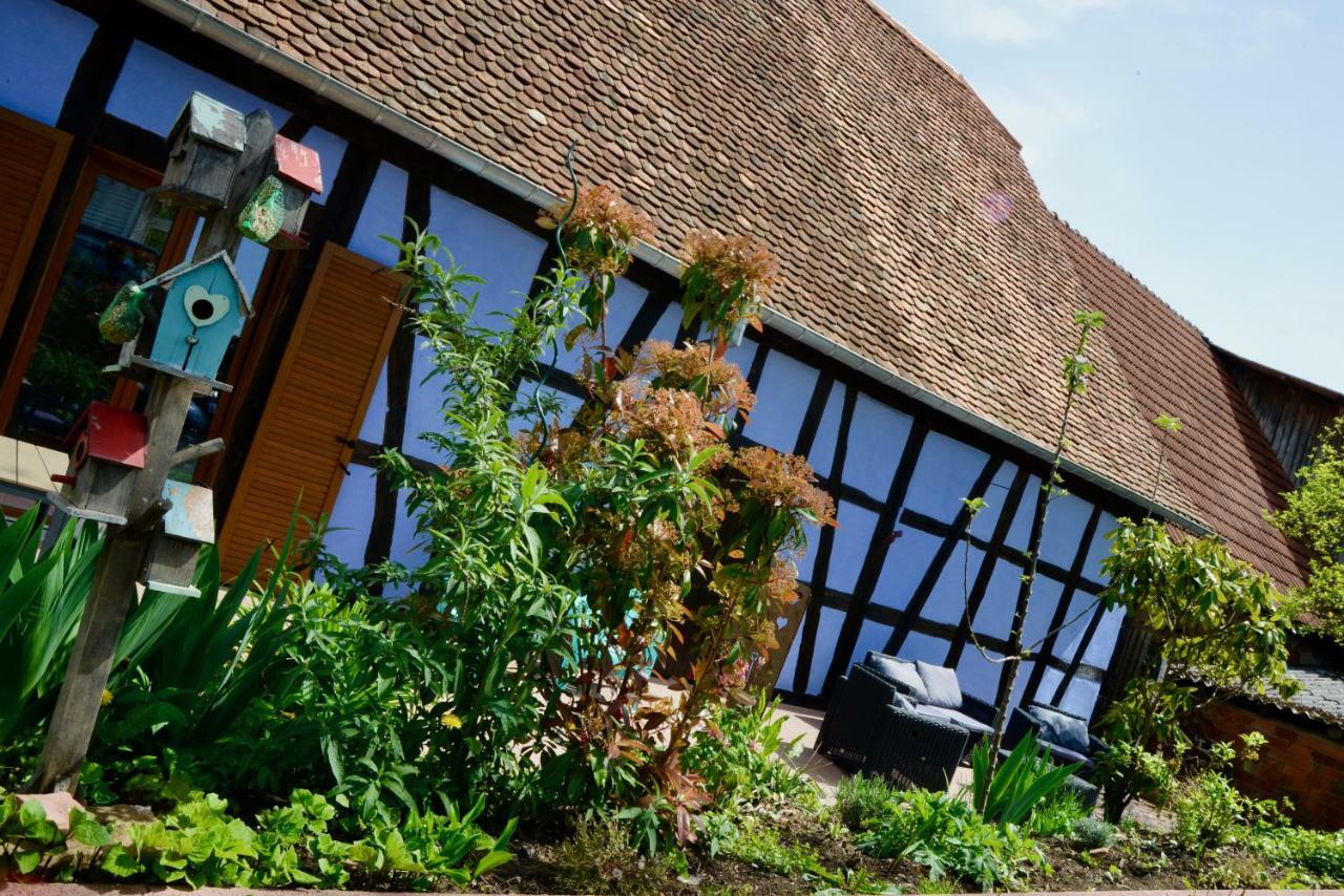 Le Clos Bleu - Gite Rural Schillersdorf ภายนอก รูปภาพ